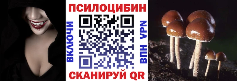 Галлюциногенные грибы ЛСД  Малая Вишера 
