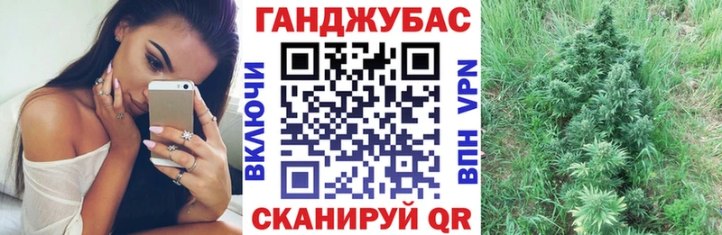 купить наркотик  Малая Вишера  Бошки марихуана гибрид 